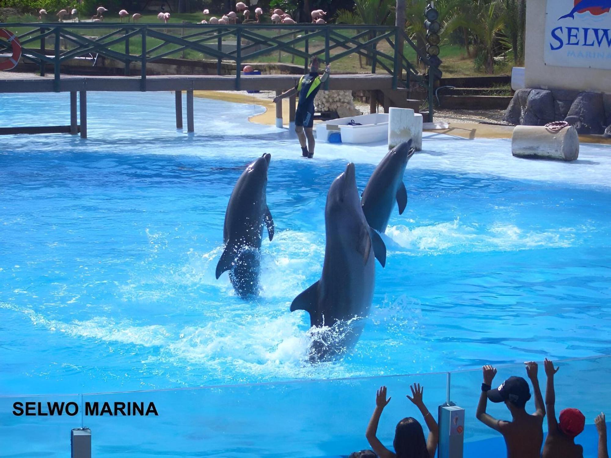 Luxury Suites Minerva Beach Benalmadena Bagian luar foto